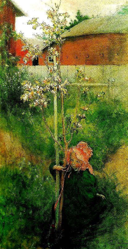 Carl Larsson kring appeltradet-appelblom Germany oil painting art
